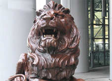 HSBC Lions