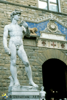 Statue of David (Copy)